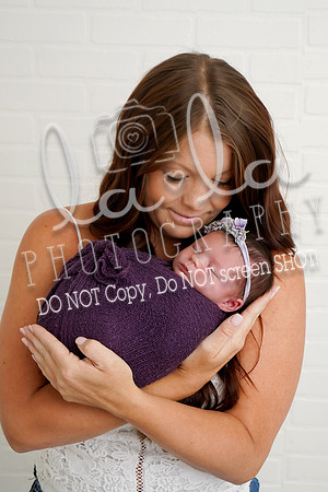 DSC08141