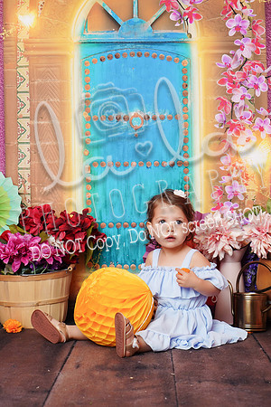 DSC00600