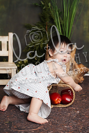 DSC07998