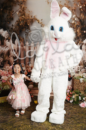 DSC08953