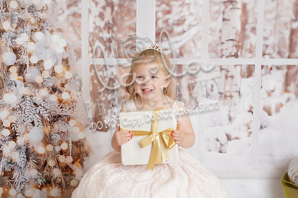 DSC04052