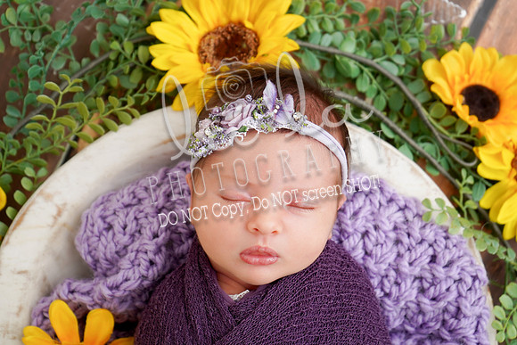 DSC05657