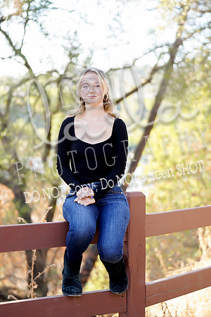 DSC03248
