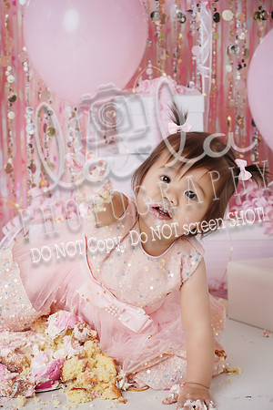 DSC07106