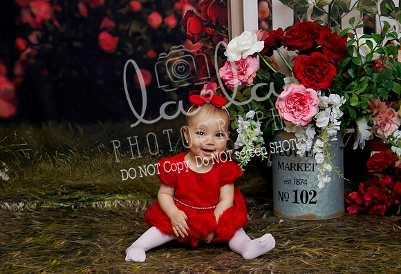 DSC02309(crop)