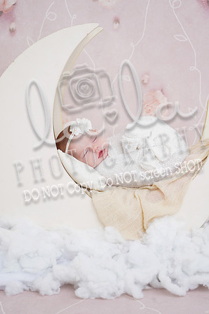 DSC05930 Edit
