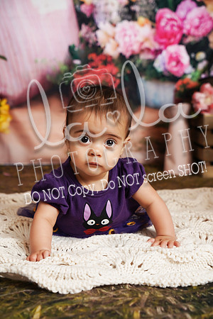 DSC07616(1)