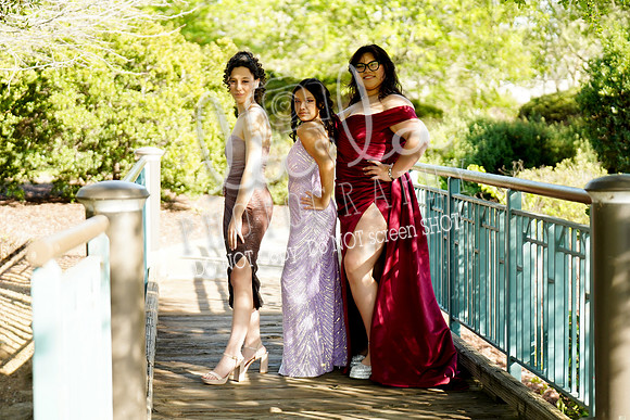 DSC00395