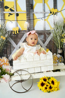 DSC03866