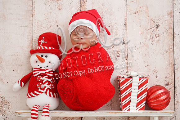 DSC02096