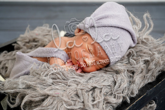 DSC01738