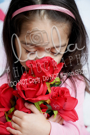 DSC08184