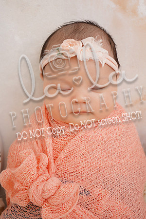 DSC01894