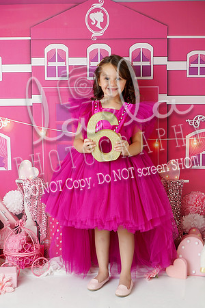 DSC03420