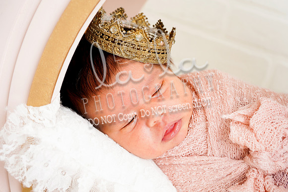 DSC06292