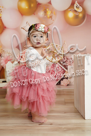 DSC08633