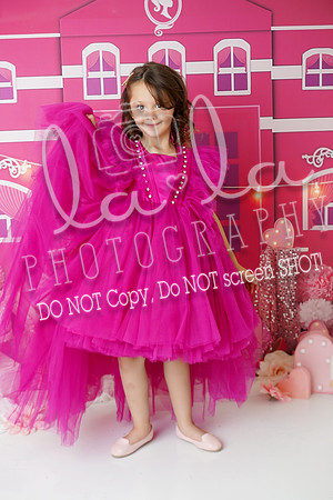 DSC03339