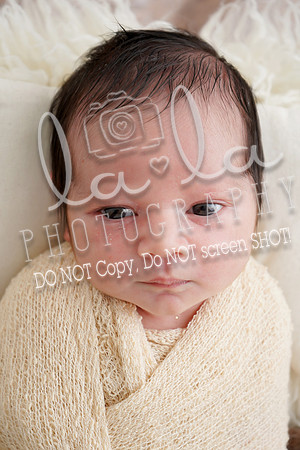 DSC00508