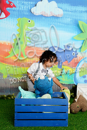 DSC07474