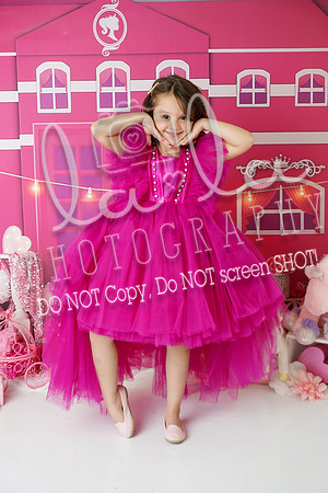 DSC03317