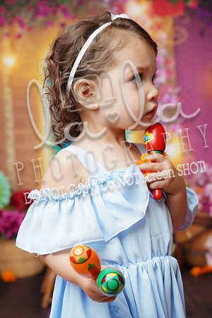 DSC00511