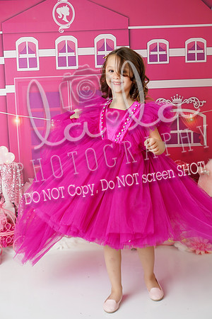 DSC03353