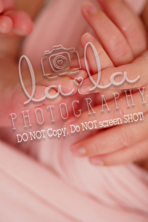 DSC00059