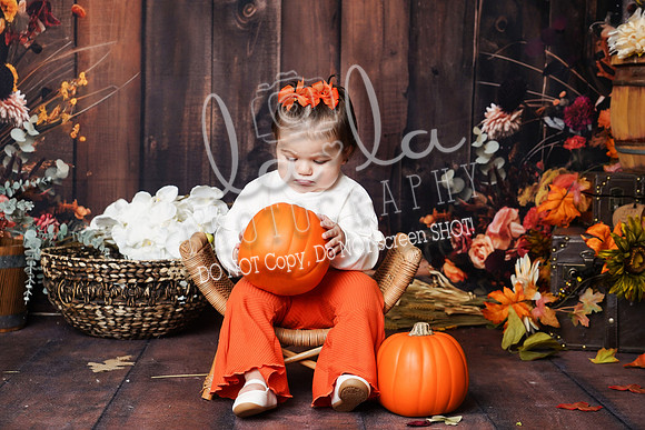 DSC08595 Edit