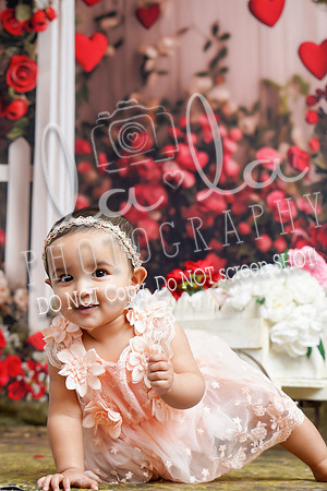 DSC07453
