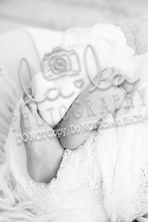 DSC08015 copy