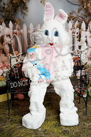 DSC07980