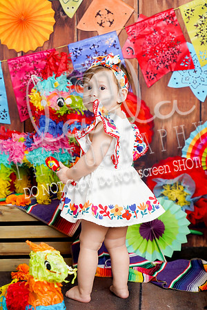 DSC07997