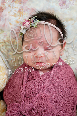 DSC02922