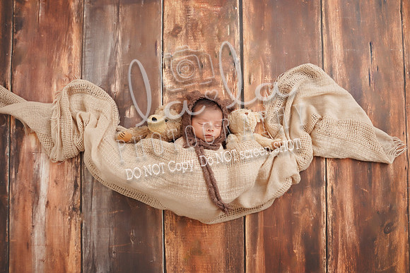 DSC08177