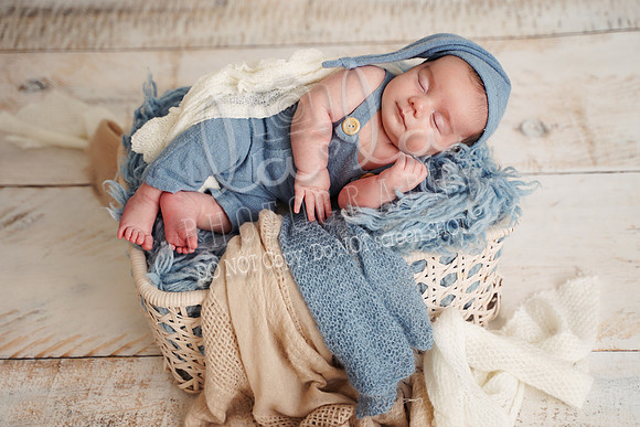 DSC09800