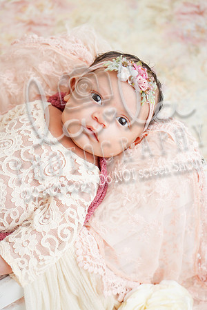 DSC02628(edit)