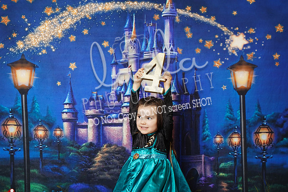 DSC03252
