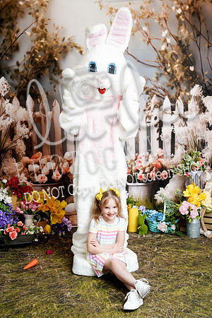 DSC09003