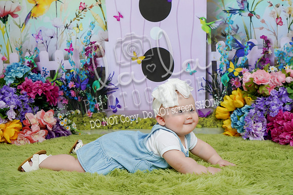 DSC00769