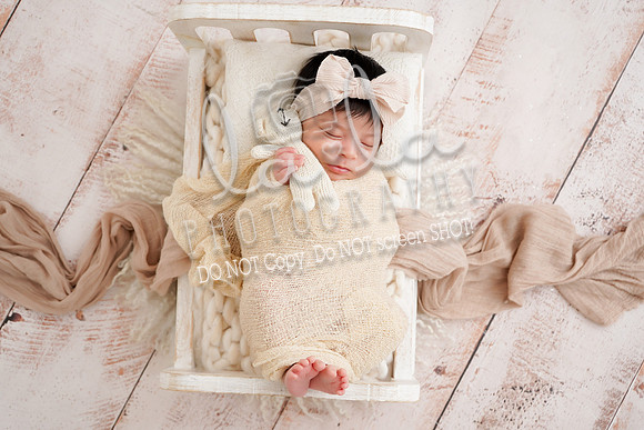 DSC00453