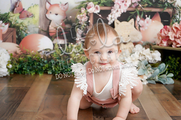 DSC06303