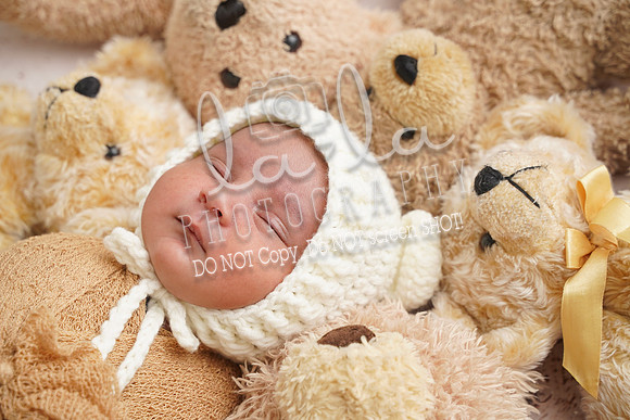 DSC08587(edit)