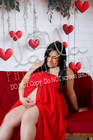 DSC06411