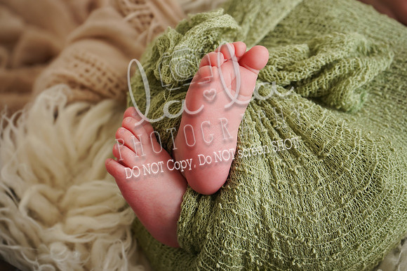 DSC04769