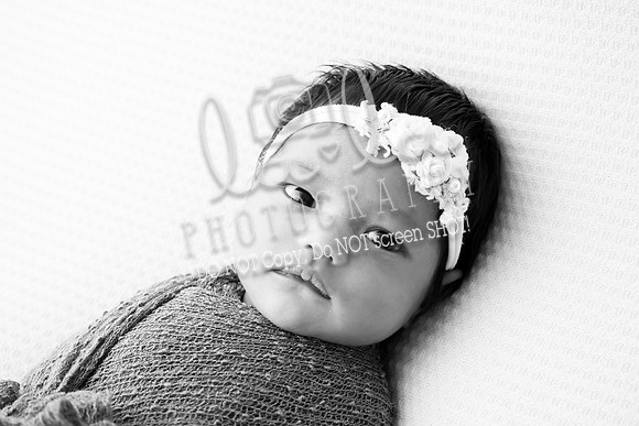 DSC07804 copy