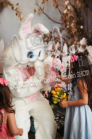 DSC04601
