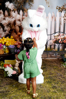 DSC08636