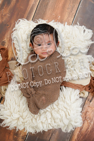 DSC02809_1edit