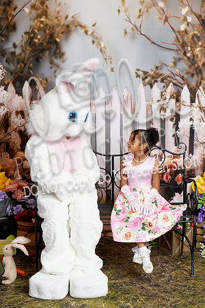 DSC08855
