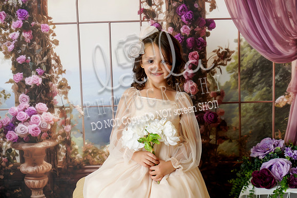 DSC03534